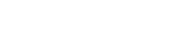 IntelMesh